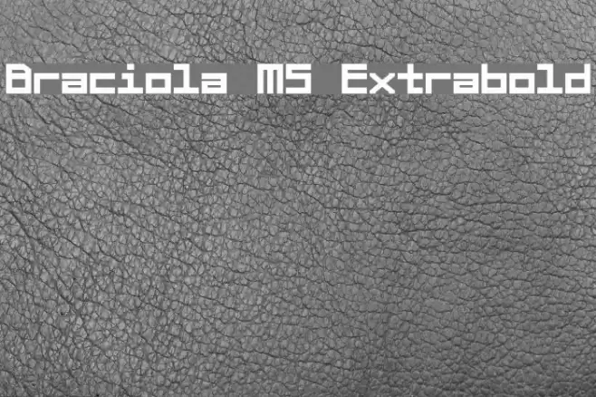 Braciola MS Extrabold خط examples