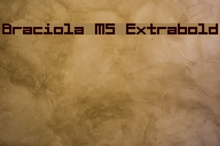 Braciola MS Extrabold Schriftart examples