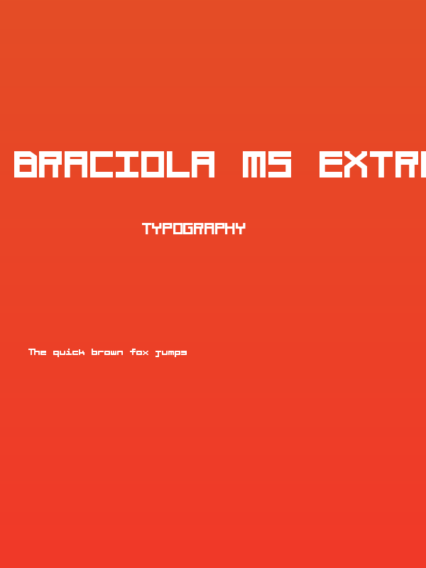 Braciola MS Extrabold Poster