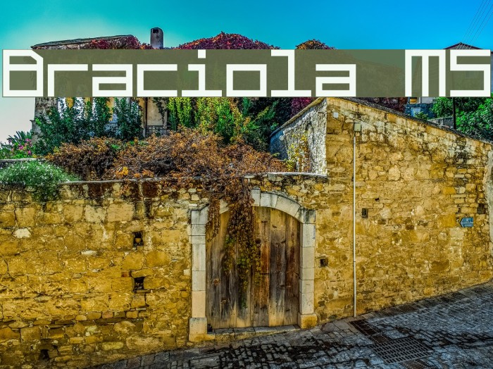 Braciola MS Font examples