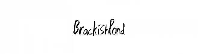 BrackishPond  Descarca Fonturi Gratis