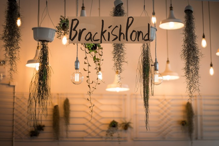 BrackishPond Example 1