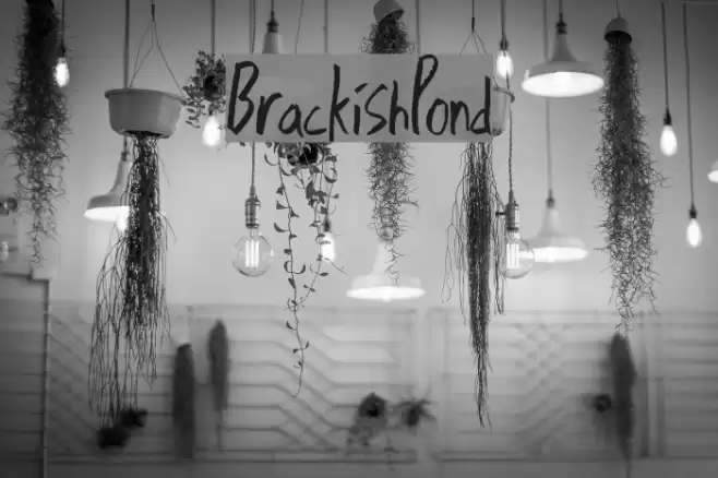 BrackishPond Font examples