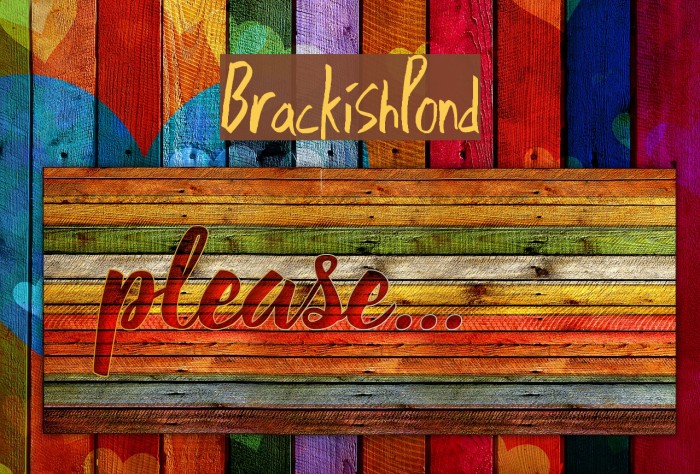 BrackishPond Example 2