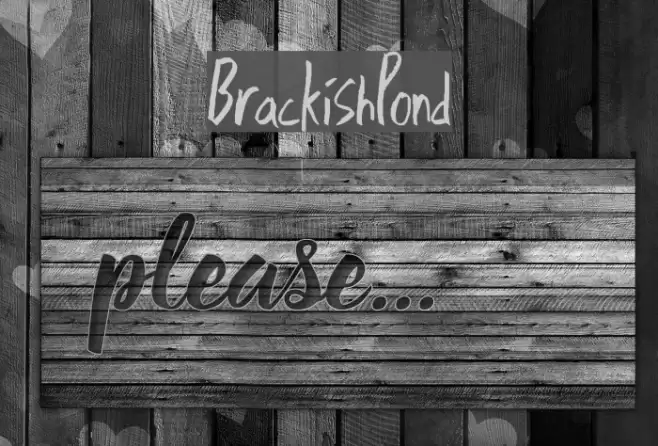 BrackishPond Font examples