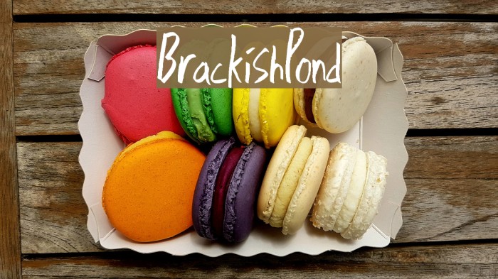 BrackishPond Example 3