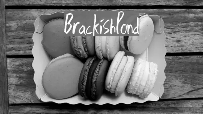 BrackishPond Font examples