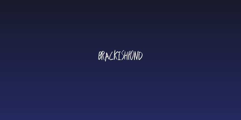BrackishPond Social Header