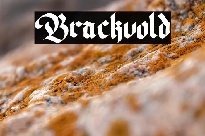 Brackvold Example 3