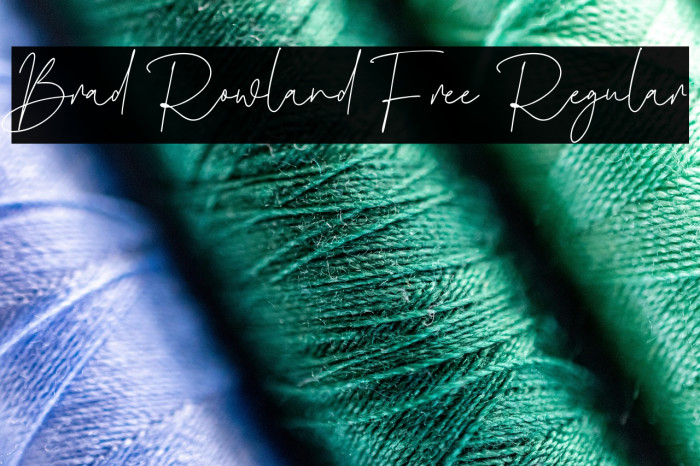 Brad Rowland Free Regular Example 2