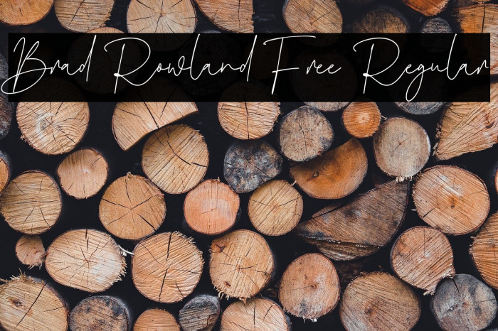 Brad Rowland Free Regular Example 3