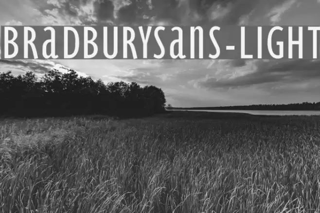BradburySans-Light Font examples