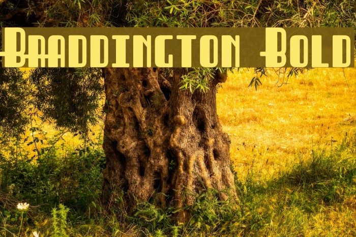 Braddington Bold لخطوط تنزيل examples