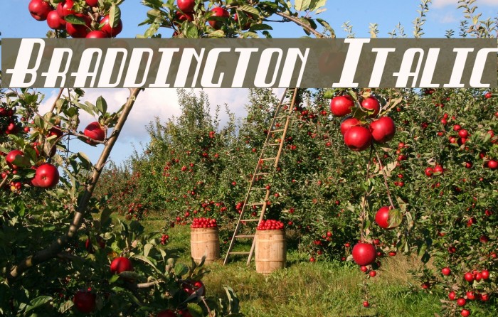Braddington Italic Example 2