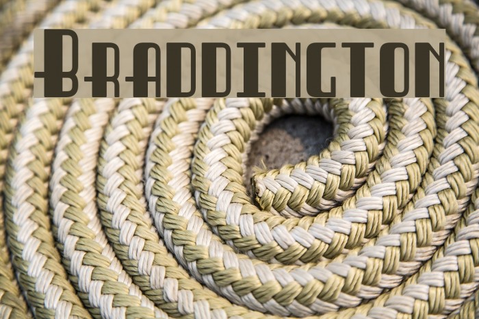 Braddington Example 2