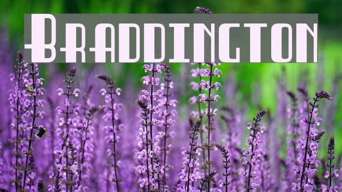 Braddington Example 3