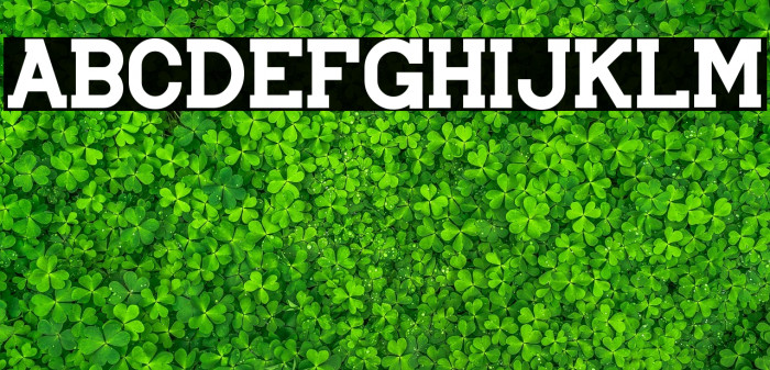 Brader John Example 3