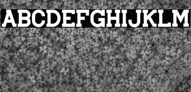 Brader John Font examples