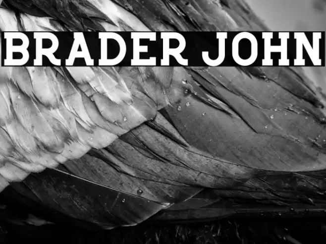 Brader John Font examples