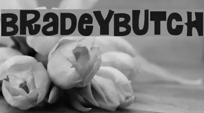 Bradeybutch Font examples