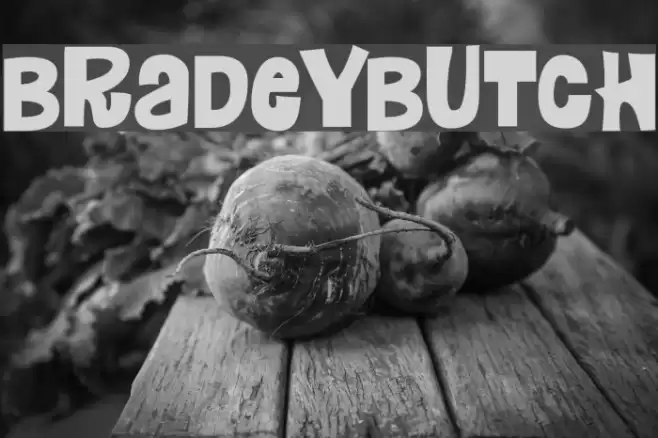 Bradeybutch Font examples