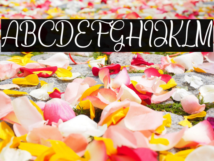 Bradlay Demo Example 1