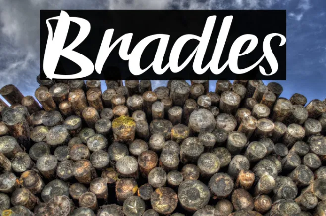 Bradles Example 2