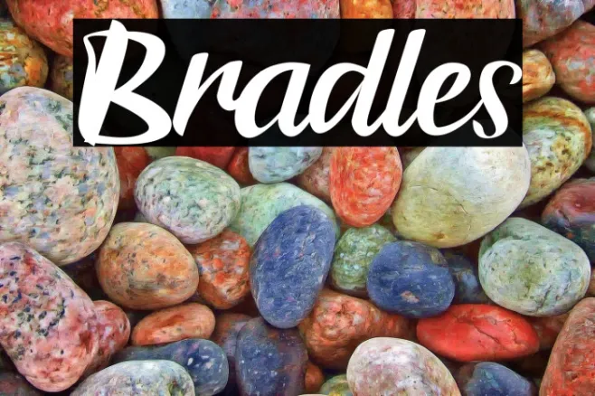Bradles Example 3