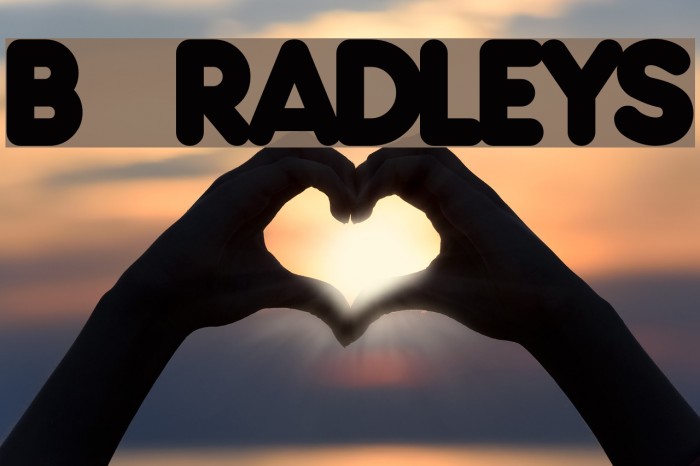 Bradleys Font examples