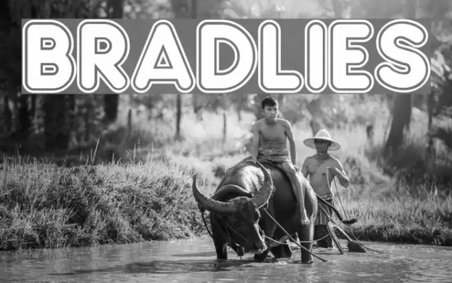 Bradlies Font examples