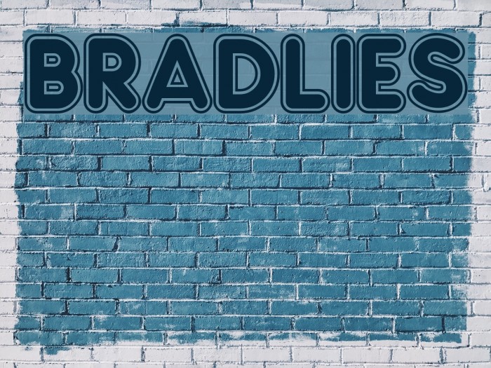 Bradlies Font examples