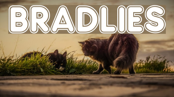 Bradlies Font examples