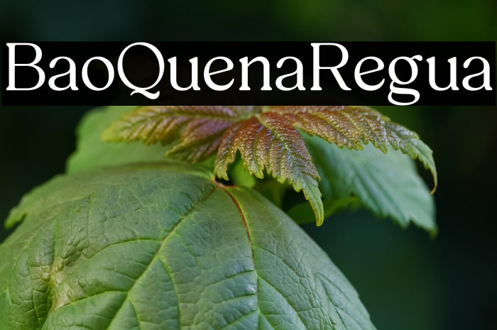 Brado Quena Regular Example 2