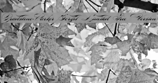 Bradstone-Parker Script Limited Free Version Font examples