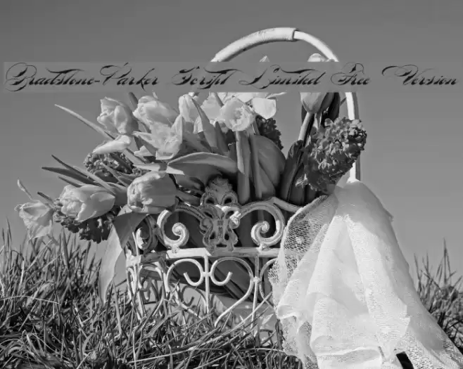 Bradstone-Parker Script Limited Free Version Font examples