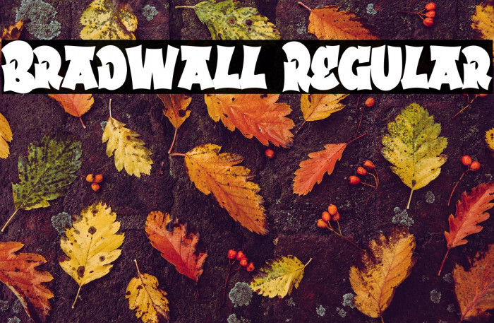 Bradwall Regular Example 1