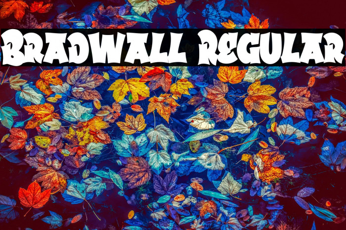 Bradwall Regular Example 2