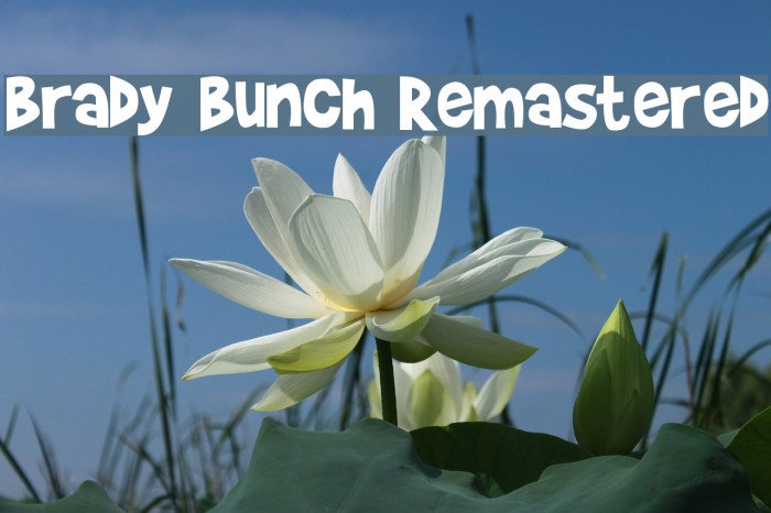 Brady Bunch Remastered Font examples