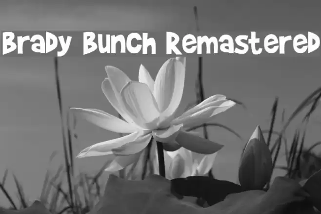 Brady Bunch Remastered フォント examples