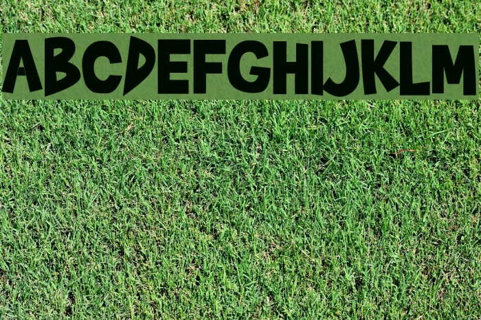 Brady Bunch Font examples