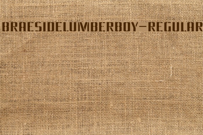 BraesideLumberboy-Regular Example 2