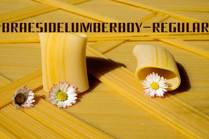 BraesideLumberboy-Regular Example 3