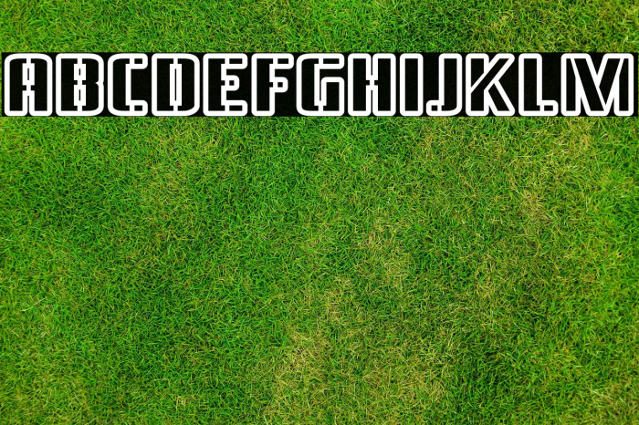 BraesideOutline-Regular Example 3