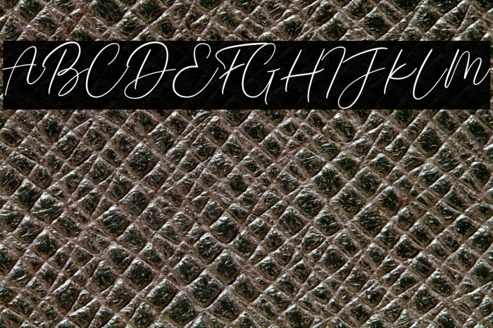 Braga Signature Example 1