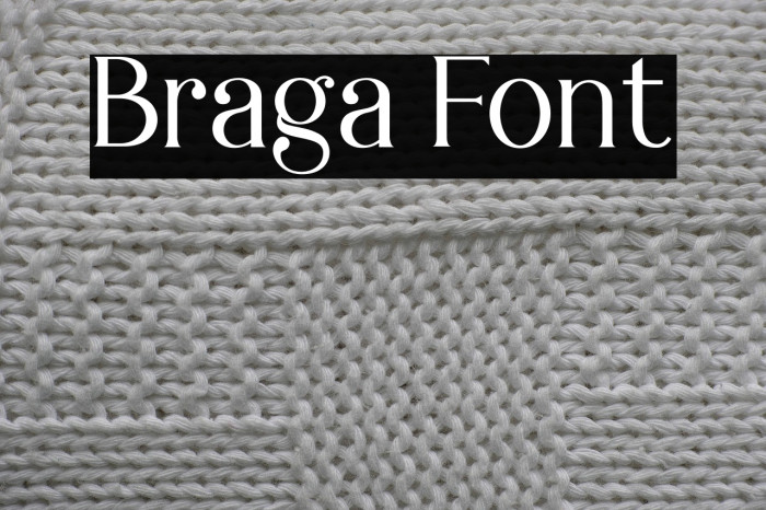 Braga Example 1
