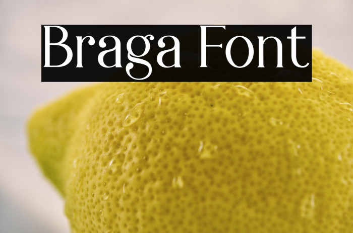 Braga Example 3