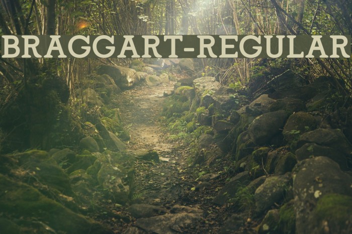 Braggart-Regular Font examples
