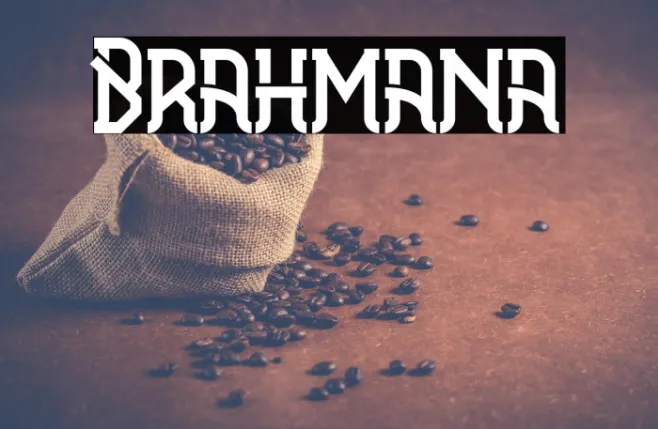 Brahmana Example 1