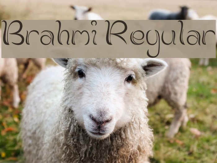 Brahmi Regular Font examples