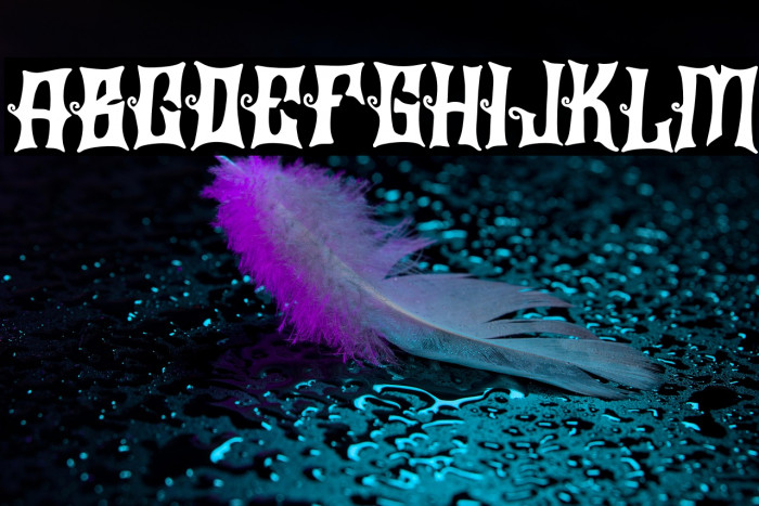 BraierFREE Example 2